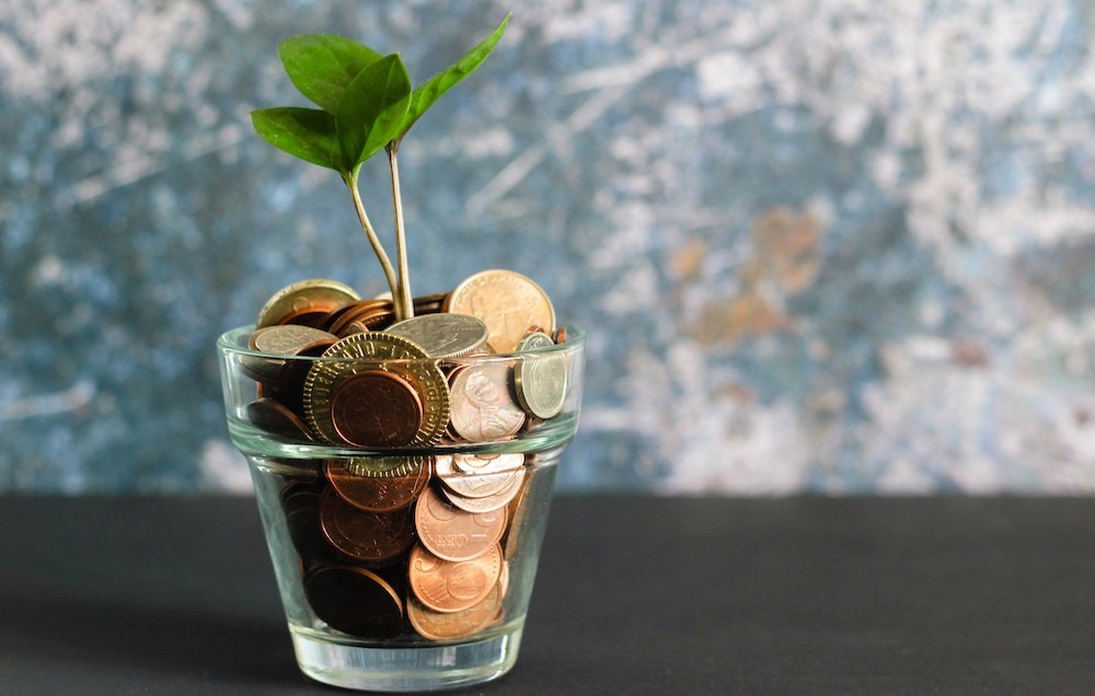 Plant growing from money in a cup